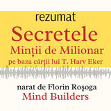 Coperta “Secretele Minții de Milionar - Rezumat”