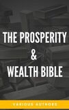 Coperta “The Prosperity & Wealth Bible”