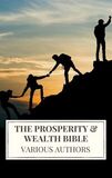 Coperta “The Prosperity & Wealth Bible”
