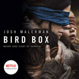 Coperta “Bird Box”