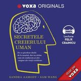 Coperta “Voxa Originals - Secretele creierului uman”
